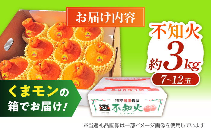 【先行予約】 【数量限定】 柑橘の王様 ハウス栽培 不知火 デコポン 約3kg（7～12玉） 【小春農園】 [ZBN003]