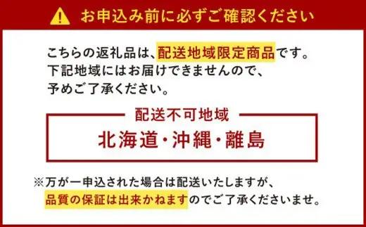 【特別栽培／有機質肥料／アフター保証】うるう農園 あまおう サイズ色々 4パック （約1140g）【2026年12月上旬～2027年1月下旬発送予定】 いちご イチゴ 苺 フルーツ 果物