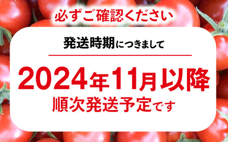 トマト好きが、恋をする。　1kg×2　金赤トマトミニ