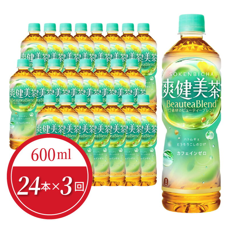 【ふるさと納税】【定期便】 3回 爽健美茶 ペットボトル 600ml 24本入 毎月配送 ノンカフェイン カフェインゼロ ブレンド茶 飲料 ドリンク お茶 茶 コカ・コーラ社製品 コカ・コーラ 水分補給 常備 備蓄 保存 買い置き PET リサイクル 滋賀県 守山市 お取り寄せ 送料無料