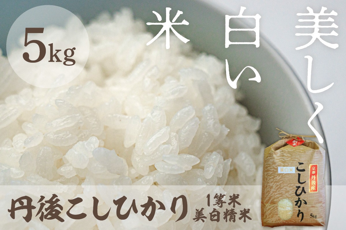 
                  令和8年産 美白精米 丹後こしひかり 5kg 1等米　京都産 京丹後産 コシヒカリ こしひかり 美白精米 美白米 精米 米 こめ コメ 1等米 R8 ご飯 ごはん 白飯 白米 ふるさと納税 京丹後 丹後　MU00096～MU00096_03
                