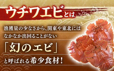 ウチワエビ しゃぶしゃぶ A(刺身200g 半身400g ポン酢80ml)【ひばり】[KAA059]/ 長崎 平戸 魚介類 海老 エビ ウチワエビ 季節限定 ご当地 グルメ 刺身 しゃぶしゃぶ