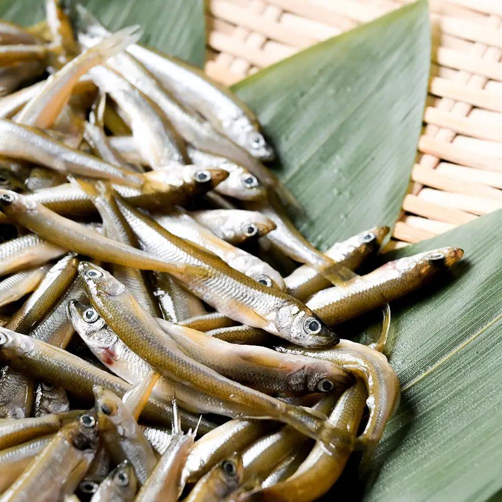 十和田湖わかさぎ 約500g 冷凍