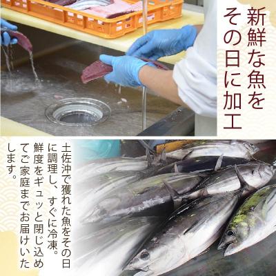 ふるさと納税 黒潮町 黒潮町のお弁当応援団!(土佐沖 獲れ 旬の魚 使用 ) [0986-2] |  | 01