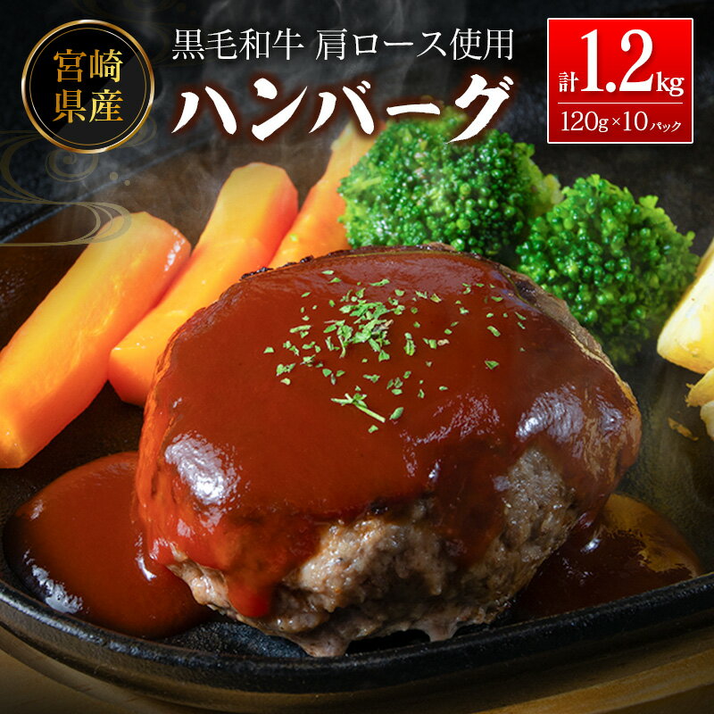【ふるさと納税】宮崎県産黒毛和牛肩ロース使用 ハンバーグ 計1.2kg（1個120g×10パック入り）冷凍 小分け 国産