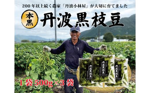 丹波黒枝豆〈本黒〉畑から直送 200年続く農家 丹波小林屋 低農薬栽培 幻の枝豆 兵庫県丹波市産