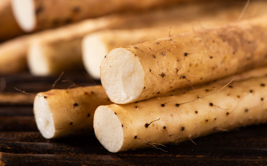 九重町産 自然薯 お試しセット 約500g【すりおろし】