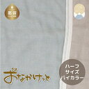 【ふるさと納税】ハーフサイズ【HanzamCocoa】おなかけっと（6重ガーゼ）（100×140cm）無地ブルー×グレー