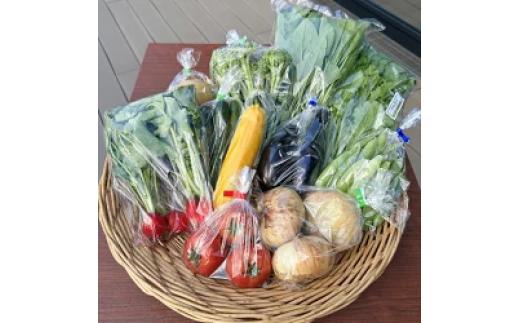 道の駅レスティ唐古・鍵 「旬の新鮮野菜8種類以上詰合せ」！！ ／ 生鮮食品 旬 新鮮 野菜 奈良県 田原本町