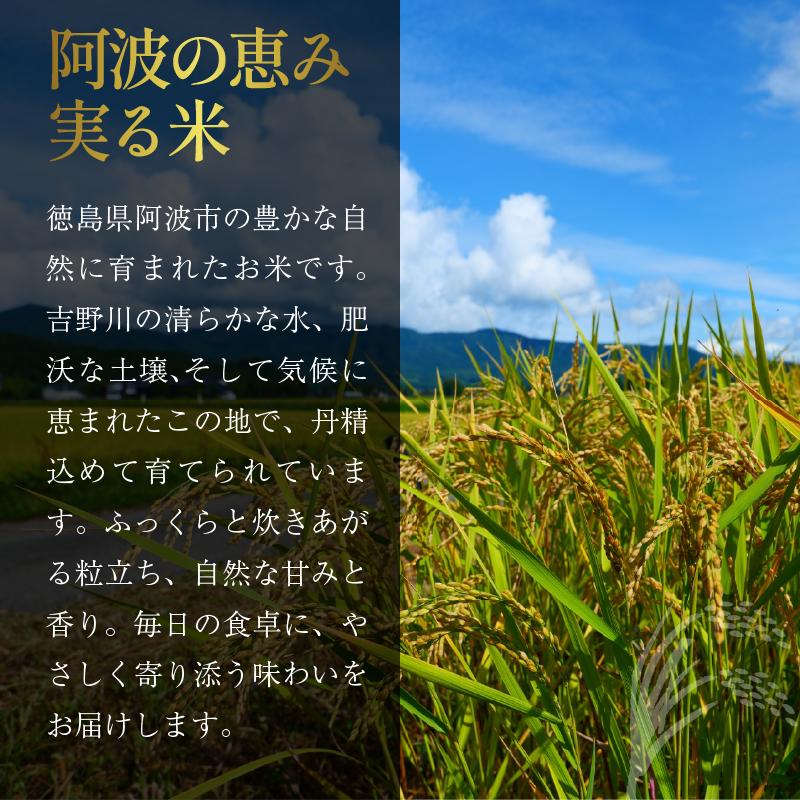 定期便 3回 米 コシヒカリ 5kg 令和8年産 米 こめ ご飯 ごはん おにぎり 白米 精米 卵かけご飯 食品 ギフト 贈答 プレゼント お取り寄せ グルメ 送料無料 徳島県 阿波市 栗栖農園