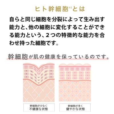 ふるさと納税 京都市 《9月末までの限定寄付額》【ジョワセリュール】ヒト幹細胞培養エキス配合 エマルジョン |  | 02