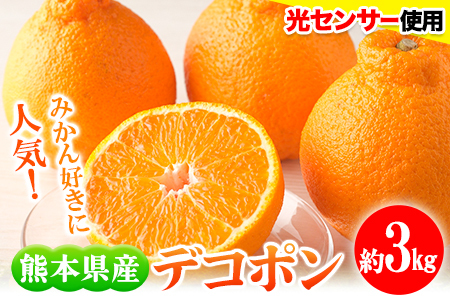 デコポン 約3kg 不知火 フレッシュフーズ デコポン