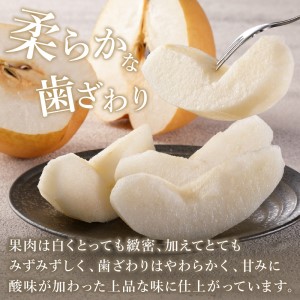 【令和8年産先行予約】伊万里梨「王秋」 約5kg  178-B943