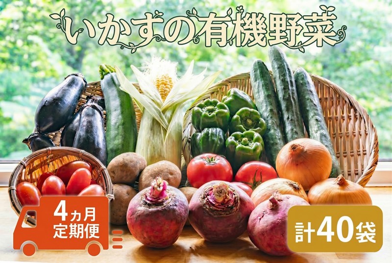 
いかすの有機野菜（月1回10品お届け4回分）
