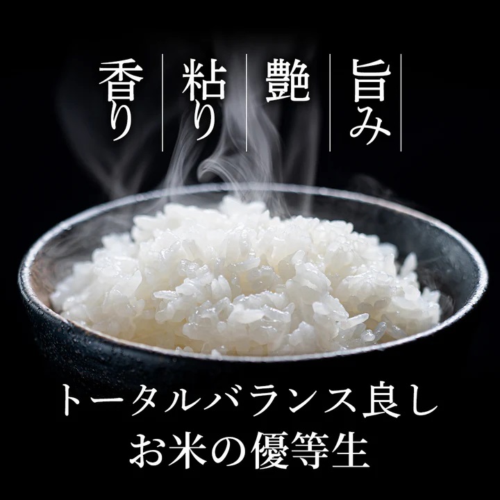 因幡の白兎米 ひとめぼれ 令和7年産 精米済 20kg（5kg×4袋）