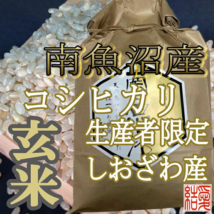 【ふるさと納税】【令和7年産】米 定期便 玄米 コシヒカリ 南魚沼しおざわ産 24kg ( 4kg × 6ヶ月 )【2025年10月上旬より順次発送予定】 | お米 こめ 食品 コシヒカリ 人気 おすすめ 送料無料 魚沼 南魚沼 南魚沼市 新潟県 玄米