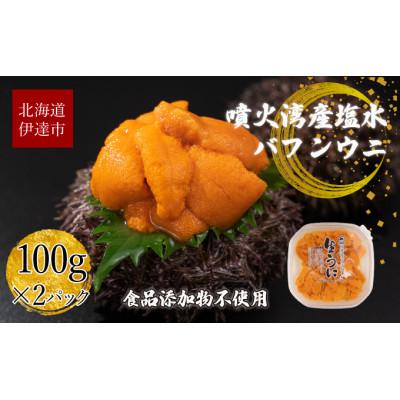 ふるさと納税 伊達市 北海道 噴火湾産 塩水 バフンウニ 100g×2パック 計200g