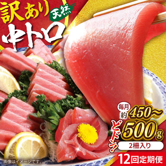 【ふるさと納税】【全12回定期便】【訳あり】天然 まぐろ 中トロ メバチ （約450〜500g（2柵入り））鮪 マグロ まぐろ 魚 刺身 中とろ さしみ 横須賀 【横須賀商工会議所 おもてなしギフト事務局（本まぐろ直売所 横須賀本店）】[AKAK093]