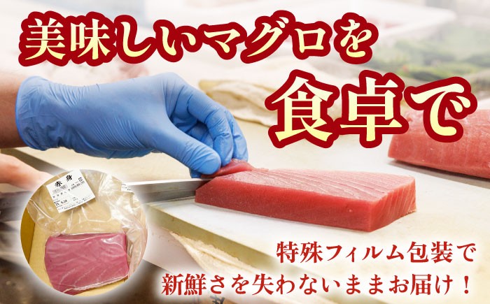五島列島産 養殖 生本かみマグロ 赤身 300g / マグロ まぐろ 鮪 刺身 ブロック