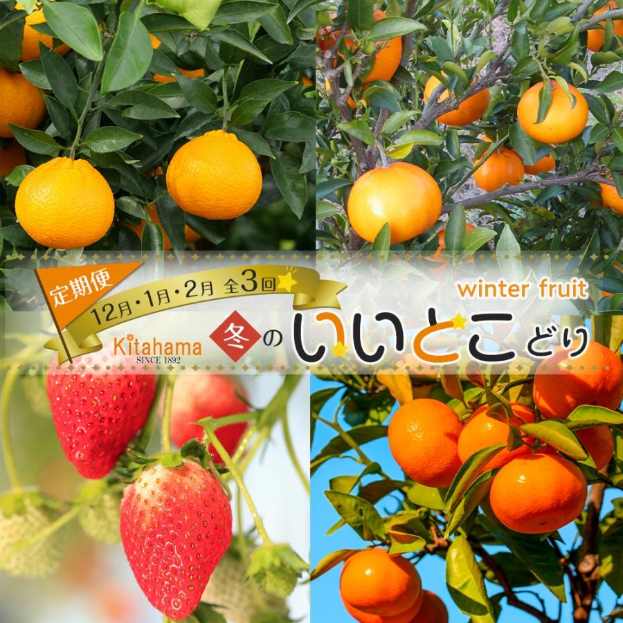 【ふるさと納税】冬のいいとこどり定期便 【12月・1月・2月】全3回 | フルーツ定期便 定期便 セット 詰め合わせ フルーツ 果物 くだもの みかん いちご せとか 小原紅早生みかん 食品 人気 おすすめ 香川県 坂出市 送料無料