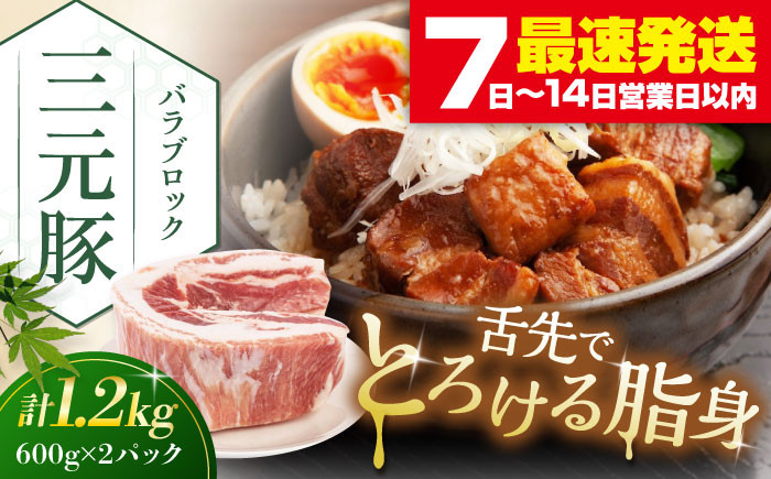 
            平田牧場 バラブロック1.2kg (600g×2P) 《喜茂別町》【平田牧場】  豚肉 ブロック 豚バラブロック 焼肉 国産 北海道 ブロック肉 特産品 ぶた肉 バラ 冷凍 [AJAP073] 13000 13000円
          