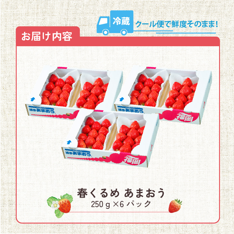 【2027年2月以降お届け】福岡産［春］あまおう6パック_春くるめ あまおう 250g × 6パック 合計 1.5kg 冷蔵 濃厚 甘い 果汁 アフター保証 安心安全 酸味 甘味 国産 いちご 果物 