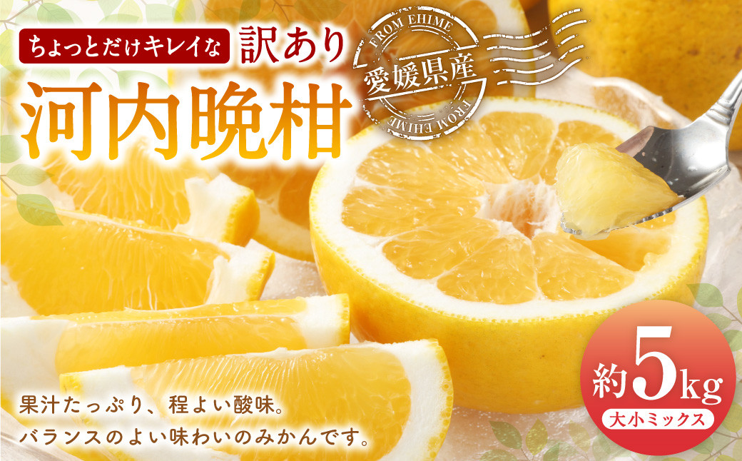
                  河内晩柑 ちょっとだけキレイな 大小ミックス （5kg） 【えひめの町（超）推し！（愛南町）】【2026年8月上旬までに発送予定】 (514)
                