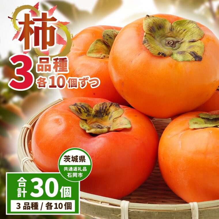 【ふるさと納税】柿の品種食べ比べ　3品種×10個ずつ　県内共通返礼品【配送不可地域：離島・沖縄県】 (BR126)
