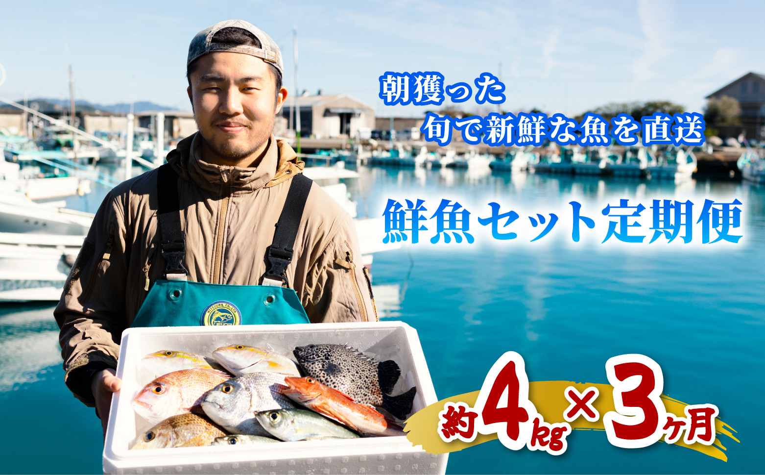 
【定期便全３回】産地直送！ 海陽町より旬の魚をお届け！ 鮮魚セット 中セット 約４kg×３ヶ月連続 詰め合わせ
