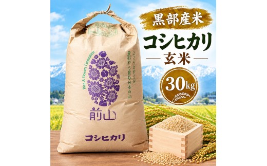 
                  黒部産米 令和8年産コシヒカリ 玄米 30kg お米 コメ 白米 こしひかり ご飯 ごはん 富山県 黒部市
                
