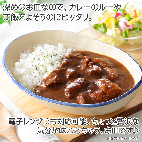 444.職人 手作り カレー 皿 さら お皿 工芸品 民芸品 陶芸 川湯温泉 北海道 弟子屈町_イメージ2