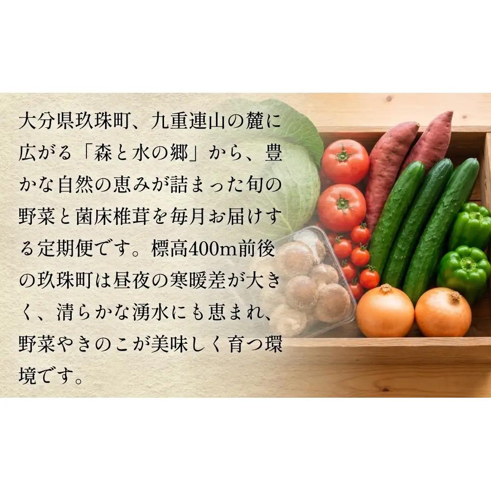 【ふるさと納税】6回定期便　玖珠の 旬野菜 ・ きのこ 6-10品 詰め合わせ  ｜ 大分県玖珠町 野菜 きのこ 旬 定期便 冷蔵 産地直送 新鮮 お取り寄せ