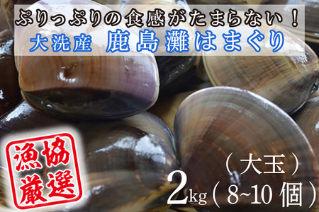 大洗産鹿島灘天然はまぐり 2㎏ 冷蔵 お吸い物 ハマグリ 蛤 貝 砂抜き処理 魚介類 大洗産 天然 はまぐり_BQ008