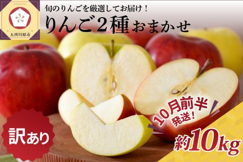 【2025年10月前半発送】 【訳あり】 りんご 約10kg 青森産 品種おまかせ2種以上