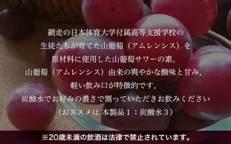 オホーツク網走山葡萄サワーの素　500ml×12本入り（網走市加工・製造）  ABH051