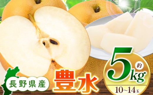 
                  【先行受付】豊水5kg（10～14玉）｜ふるさと納税 松本市 なし フルーツ ふるーつ 甘い シャキシャキ みずみずしい 梨 豊水 果物 果汁 農家 自然 ビタミン 地元 新鮮
                