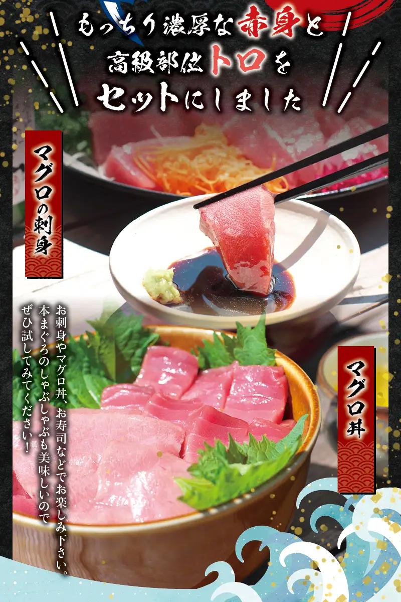 本マグロ（養殖）トロ＆赤身セット 240g 【11月発送】【配達日指定不可】高級 クロマグロ  中トロ 中とろ まぐろ マグロ 鮪 刺身 赤身 柵 じゃばらまぐろ 本マグロ 本鮪 【nks113B-1