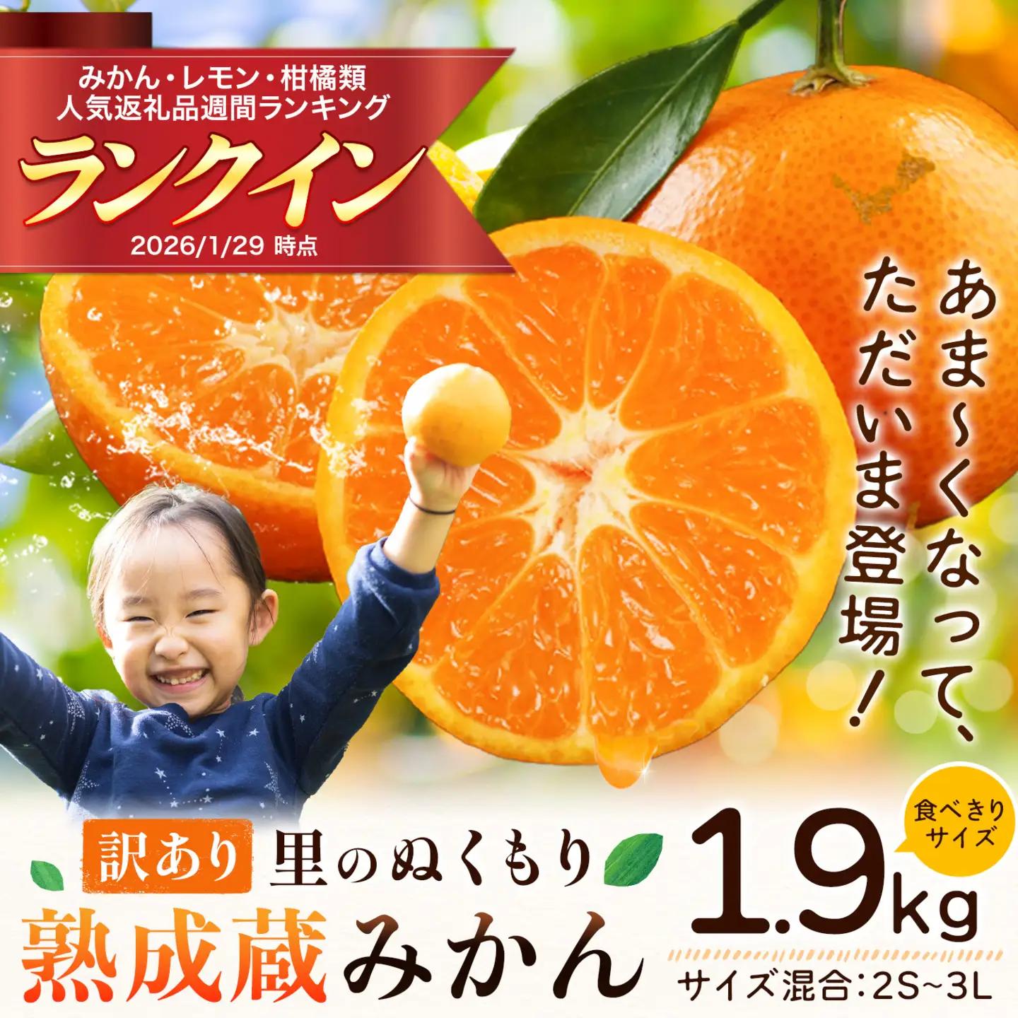 ご家庭用 熟成みかん 1.9kg  ｜みかん  