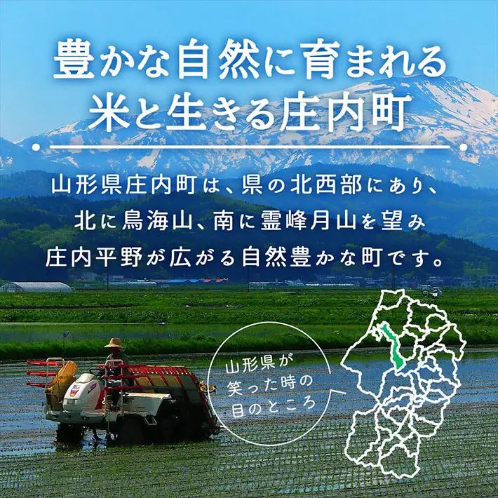 【新米受付】令和8年産 特別栽培米 つや姫 5kg 渡會さんのうまい米！ 5kg×1袋 2026年産 ブランド米 米 国産 単一原料米 山形 庄内平野 コシヒカリの原点、亀の尾発祥の地 庄内【R8.1