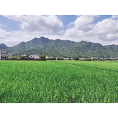 ふるさと納税 防府市 栽培期間中農薬・肥料不使用で作った朝日米　玄米5kg |  | 02