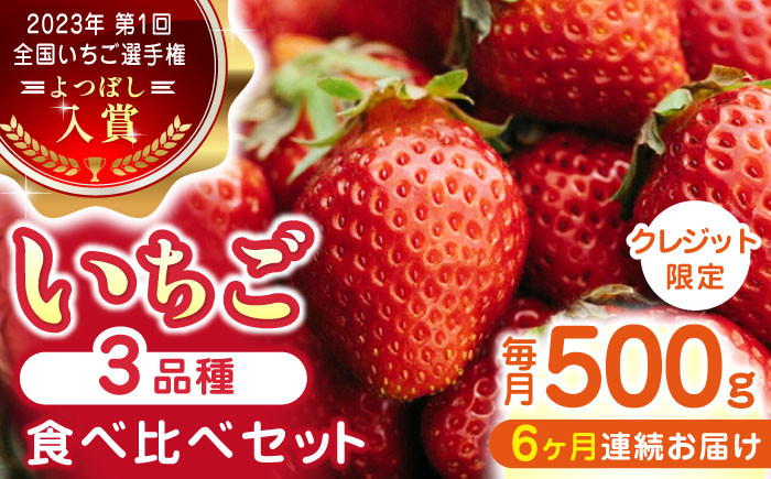 
【全6回定期便】いちご 食べ比べセット 総計3.0kg ( 250g × 2P × 6回 ) 農園直送 産地直送 熊本県産 山都町産 イチゴ 苺 ストロベリー フルーツ 果物 【なかはた農園】[YBI014]
