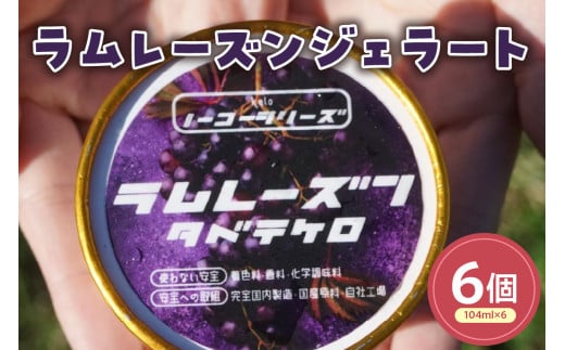 ラムレーズンジェラート(104ml)〔6個入り〕 レーズン アイス スイーツ 洋菓子 お菓子 デザート 贈答 贈り物 ギフト プレゼント お取り寄せ 送料無料 山形県 米沢市