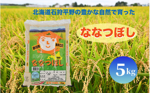 北海道奈井江町　ななつぼし　5kg