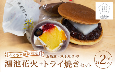 ★ふわもちの贅沢を一箱に★【ふるさと納税限定】五條堂（GOJODO）の鴻池花火2個入り＋トライ焼き2個入りセット