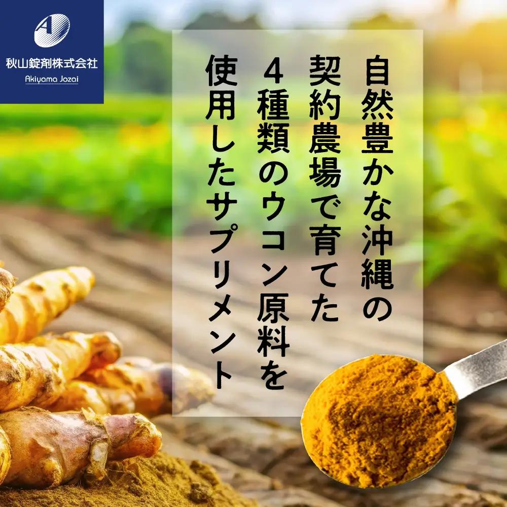 健康食品 ウコン sp(1粒330mg×100粒)