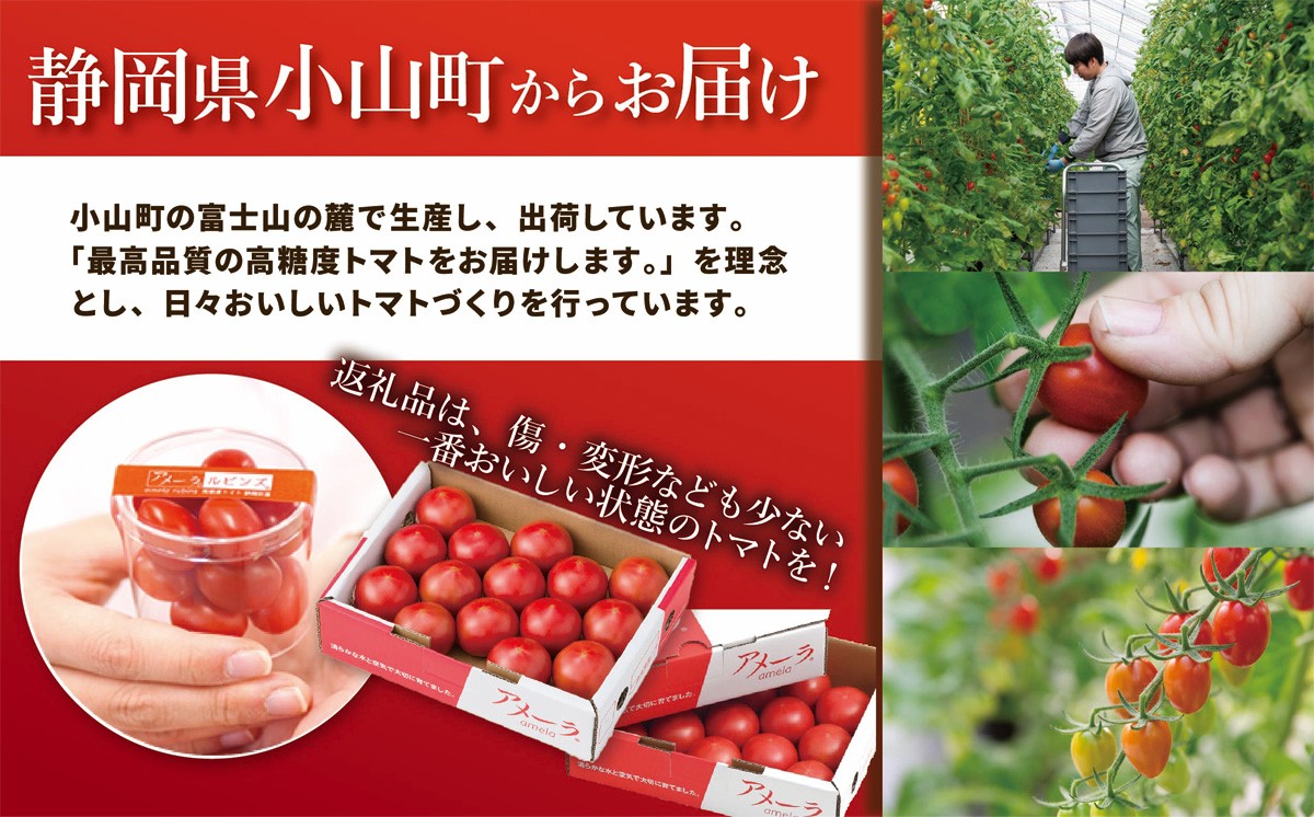 アメーラルビンズ 約60g × 10P 入り │ トマト とまと 野菜 アメーラ アメーラトマト ミニトマト プチトマト フルーツトマト 高糖度 静岡県 小山町