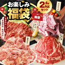 【ふるさと納税】お楽しみ福袋 4種 2kg セット 切り落とし 牛ハラミ スペアリブ 鶏肉 小間切り落とし 希少部位 牛うち ハラミ 骨付き 厚切り 国産豚 鶏もも肉 氷温熟成牛 牛肉 氷温熟成豚 豚肉 熟成肉 氷温熟成 作り方 ふるさと納税オリジナル 限定 送料無料 肉の泉佐野