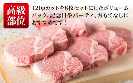 【厚切ヒレステーキ】120g×8枚 A4ランク 博多和牛 糸島市/糸島ミートデリ工房[ACA046] ステーキ ヒレ ヒレ肉 フィレ ヘレ 牛肉 赤身 黒毛和牛 国産