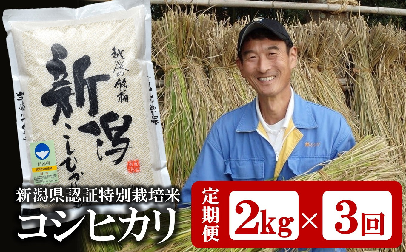 
            【3ヶ月定期便・4月～発送】上野さんちの有機100％肥料で栽培 コシヒカリ 白米 2kg×3回（計 6kg） 令和6年産米 [Y0430]
          