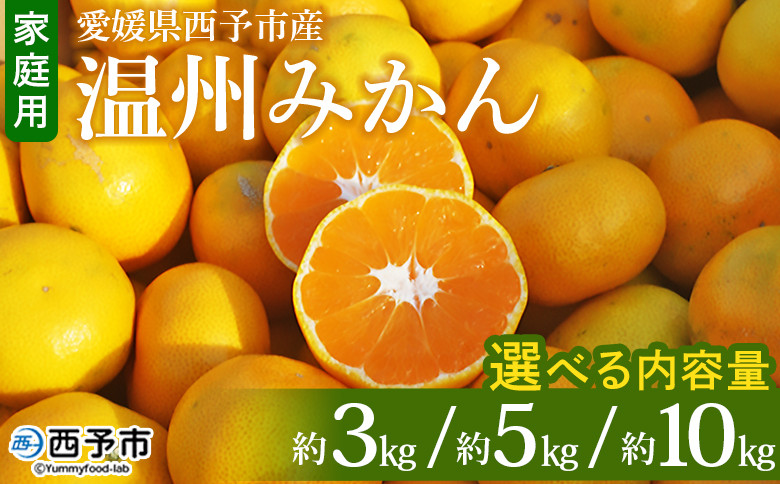 
            ＜愛媛県西予市産 温州みかん 家庭用 約3kg／5kg／10kg ＞ 果物 くだもの うんしゅうみかん ウンシュウミカン ミカン 蜜柑 柑橘 フルーツ 自宅用 訳あり 旬 特産品 産地直送 段畑みかん 愛媛県 西予市【常温】
          